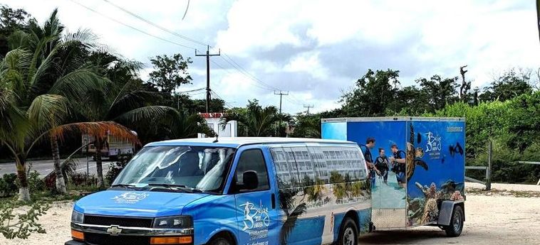 Hotel Belize Dive Haven Turneffe Islands: Photo 
