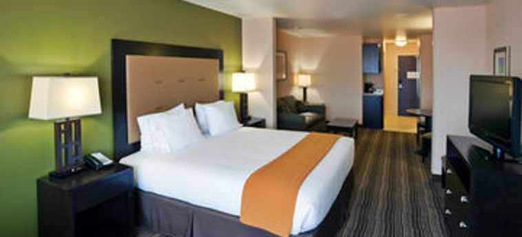HOLIDAY INN EXPRESS HOTEL & SUITES TWIN FALLS 3 Etoiles