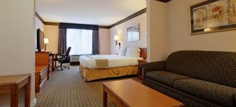 HOLIDAY INN EXPRESS HOTEL & SUITES TYLER NORTH 3 Stelle