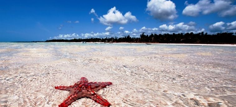 Hotel Neptune Paradise Beach Resort &Amp; Spa All Inclusive Ukunda: Photo 