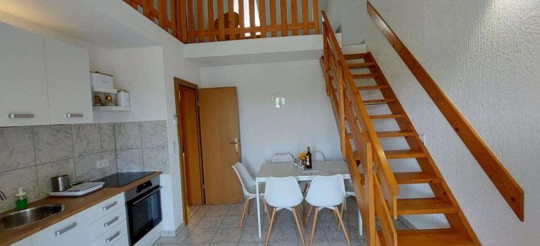 Hotel Kadenca Umag - Istria: Foto 