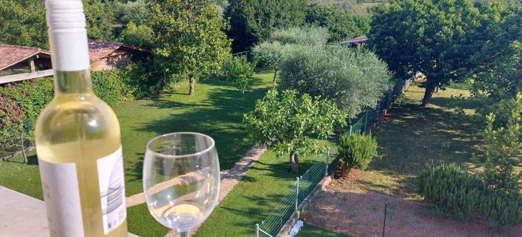 Hotel Kadenca Umag - Istria: Foto 