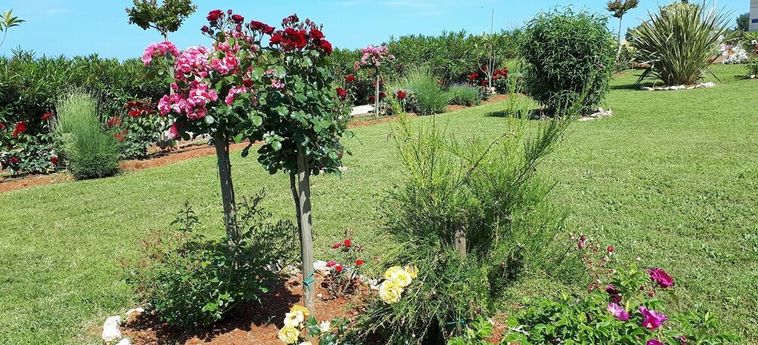 Hotel Villa Rosetta Umag - Istrie : Photo 