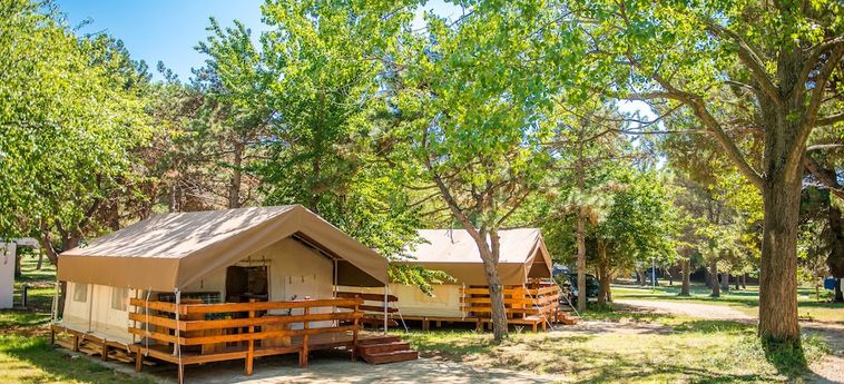 Hotel Sunflower Camping Savudrija Umag - Istrie : Photo 