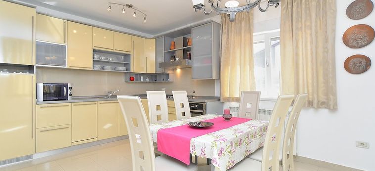 Apartment 1966 Umag - Istrie : Photo 