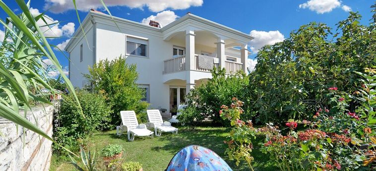 Apartment 1966 Umag - Istrie : Photo 