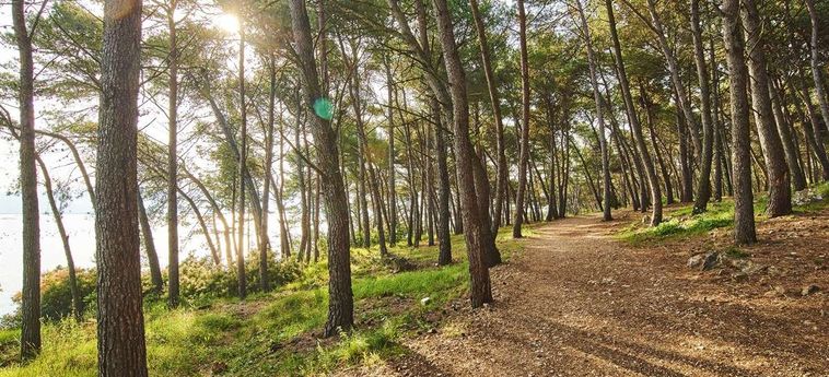 Apartments Kanegra Plava Laguna - Umag Umag - Istrie : Photo 