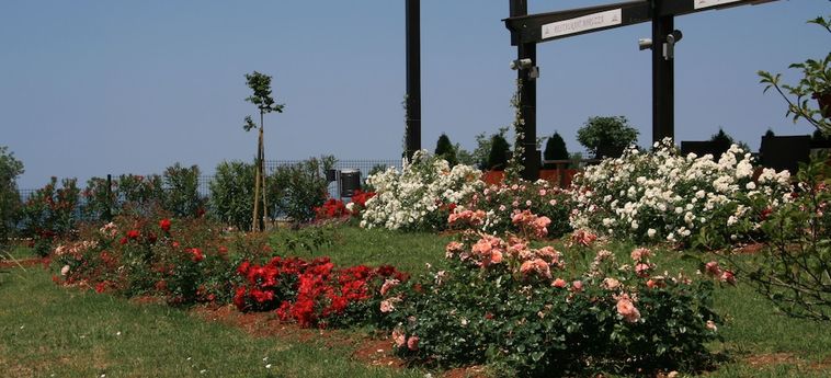 Hotel Villa Rosetta Umag - Istrien: Foto 