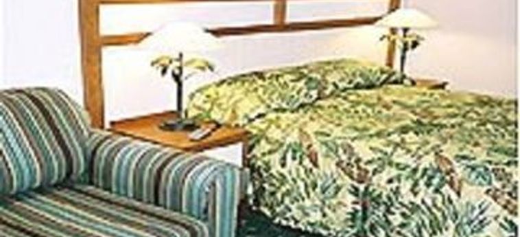 Hotel City Lodge Umhlanga:  UMHLANGA ROCKS