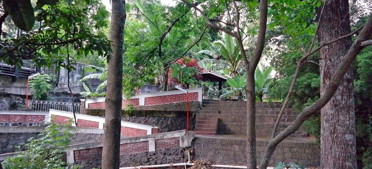 Hotel Los Cedros Uruapan : Photo 