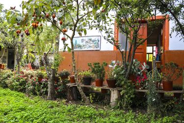 Hotel B&Amp;B Sacred Valley Larespampa Urubamba: Photo 