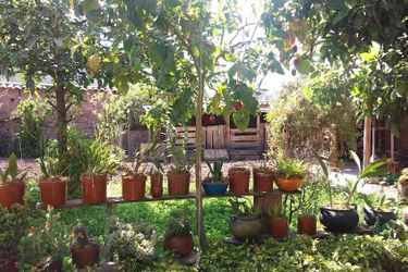Hotel B&Amp;B Sacred Valley Larespampa Urubamba: Photo 