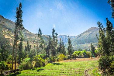 Hotel Hacienda Del Valle Sagrado Urubamba: Photo 