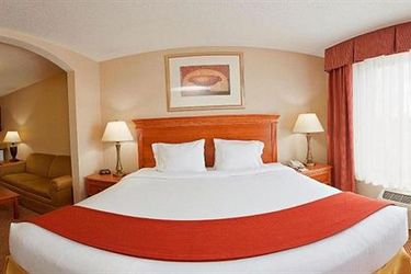 Holiday Inn Express Hotel & Suites Detroit Utica:  UTICA (MI)