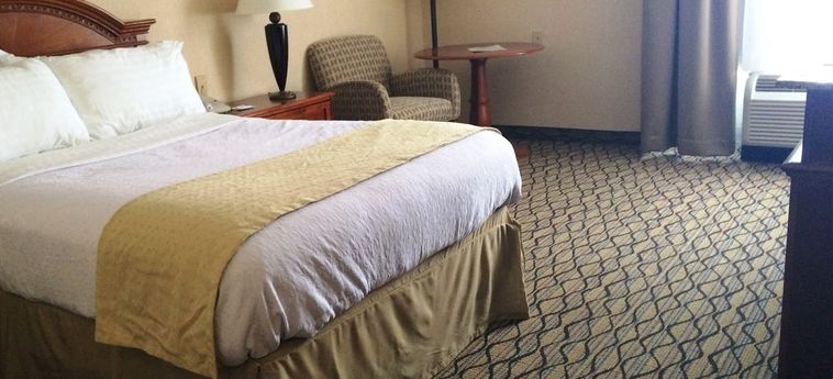 Hotel Holiday Inn Utica:  UTICA (NY)
