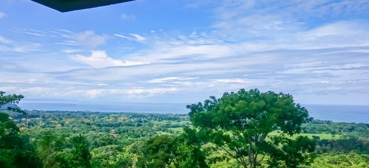 Hotel Whales And Dolphins:  UVITA