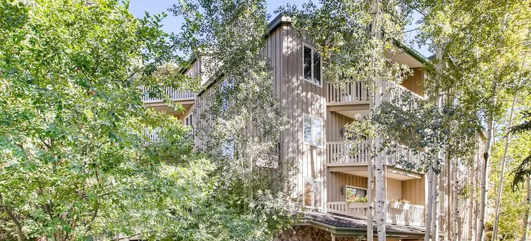 Hotel Westwind At Vail Vail (Co): Foto 