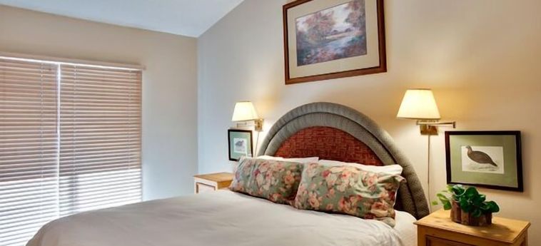 Hotel Willows Condos Vail Vail (Co): Foto 