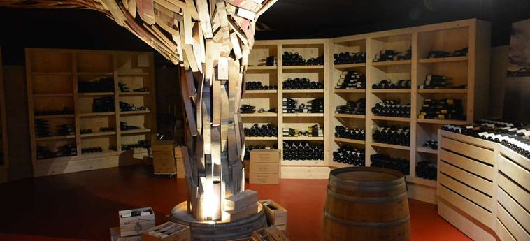 Hotel Best Western Clos Syrah Valence: Foto 