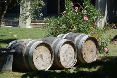 Hotel Best Western Clos Syrah Valence: Photo 