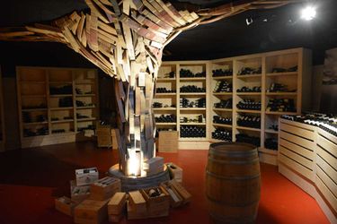 Hotel Best Western Clos Syrah Valence: Photo 