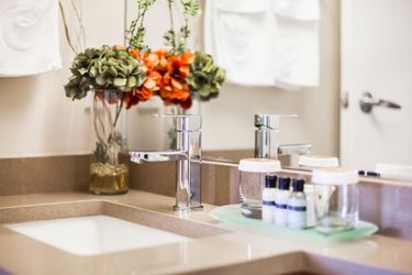 Executive Hotel Vancouver Airport Vancouver: Photo 