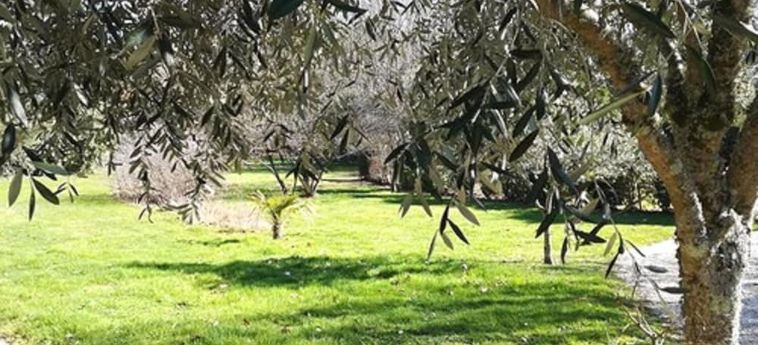 Hotel Le Parc Er Greo Vannes: Foto 
