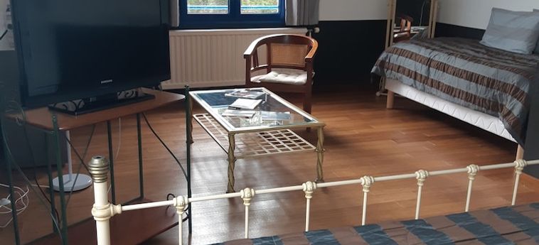Hotel Les Vénètes Vannes: Foto 