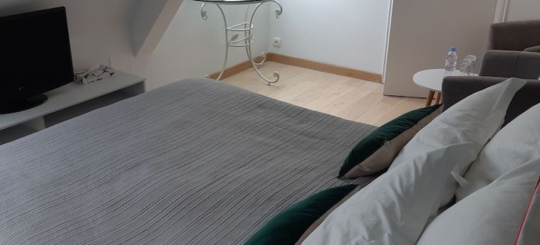 Hotel Les Vénètes Vannes: Foto 