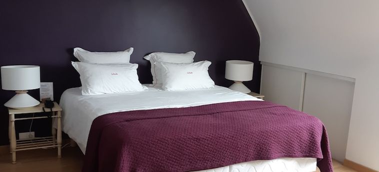 Hotel Les Vénètes Vannes: Foto 