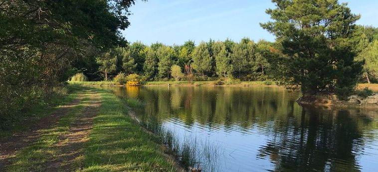 Hotel Domaine De Lann Hallat Vannes : Photo 
