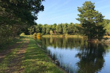 Hotel Domaine De Lann Hallat Vannes: Photo 