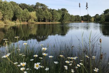 Hotel Domaine De Lann Hallat Vannes: Photo 