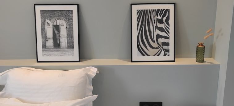 Hotel Appart Hôtel &Amp; Spa La Villa Du Port Vannes: Foto 