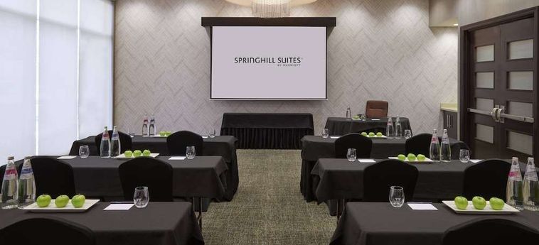 Hotel Springhill Suites By Marriott Toronto Vaughan Vaughan: Foto 