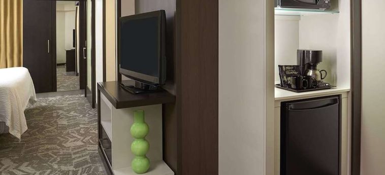 Hotel Springhill Suites By Marriott Toronto Vaughan Vaughan: Foto 