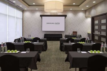 Hotel Springhill Suites By Marriott Toronto Vaughan:  VAUGHAN