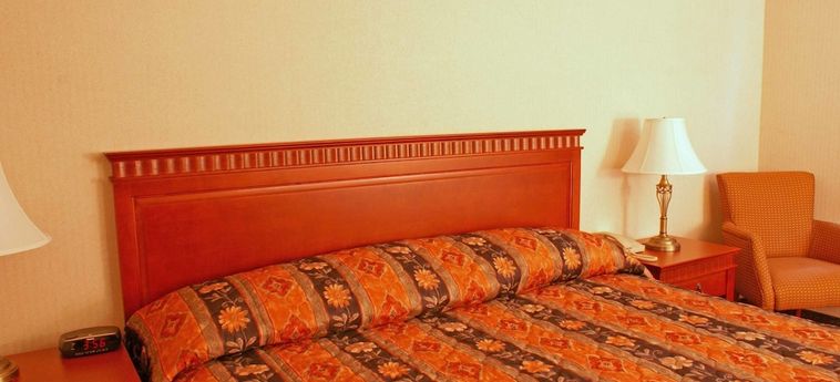 Hotel Vaughan Inn Vaughan: Foto 