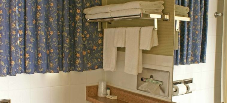 Hotel Vaughan Inn Vaughan: Foto 