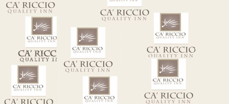 Hotel Ca' Riccio:  VENECIA