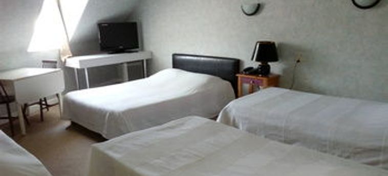 Hotel Nice Flore:  VICHY