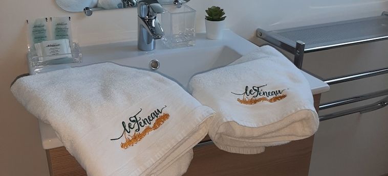 Hotel Le Feneau Vichy: Foto 