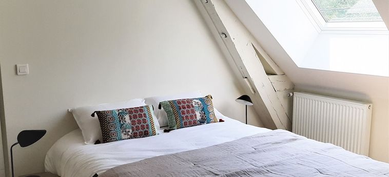 Hotel Le Feneau Vichy: Foto 