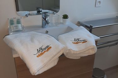 Hotel Le Feneau Vichy: Photo 