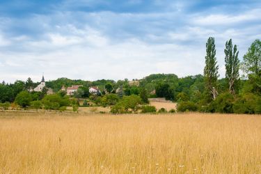Hotel Le Feneau Vichy: Photo 