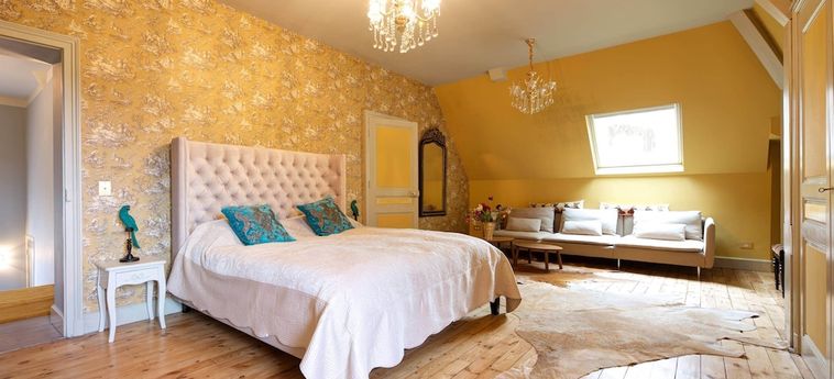 Hotel Chateau Des Mussets Vichy: Foto 