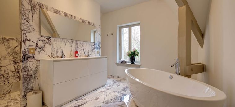 Hotel Chateau Des Mussets Vichy: Foto 
