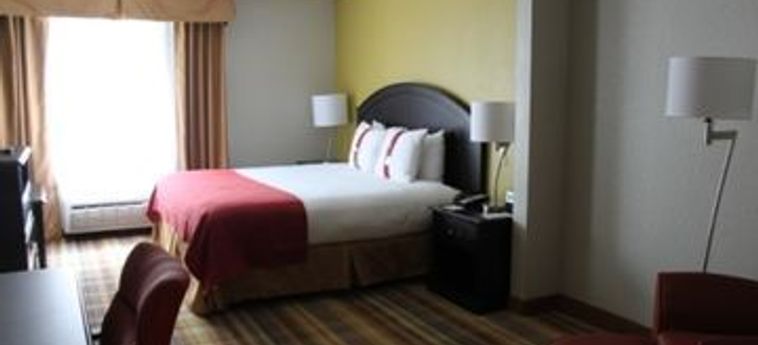 Hotel Holiday Inn Vicksburg:  VICKSBURG (MS)