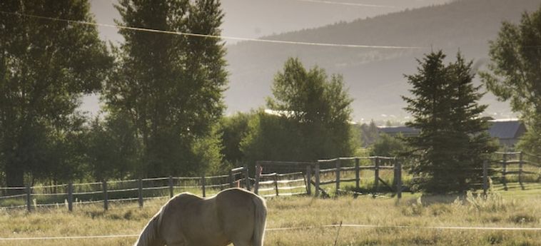 Dreamcatcher Bed And Breakfast Victor (Id) : Photo 