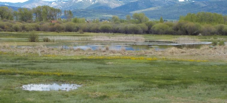 Dreamcatcher Bed And Breakfast Victor (Id) : Photo 